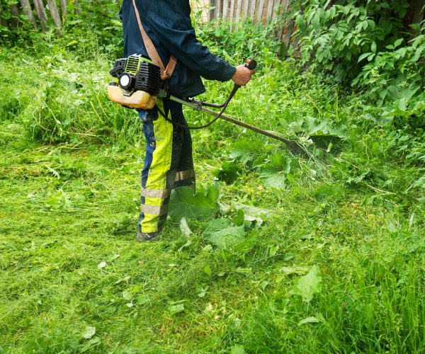 garden-clearance